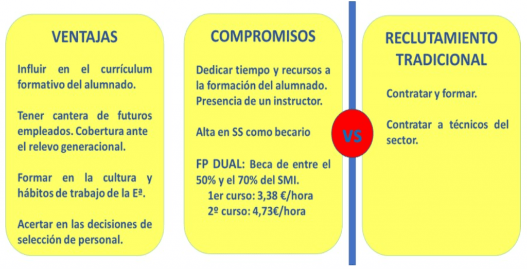 Becas FP Dual ¿Cuáles puedes solicitar?