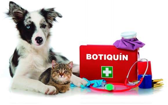 Los primeros auxilios en veterinaria