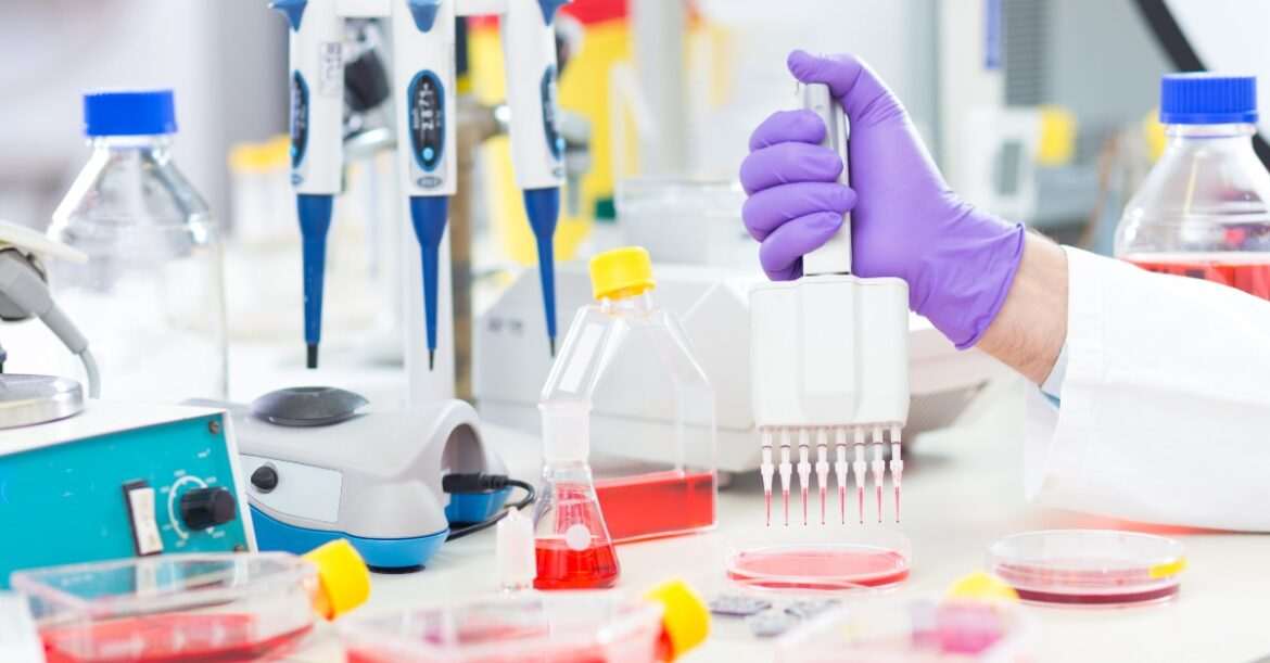 Materiales e instrumentos de laboratorio esenciales en FP: ¿Cuáles son?