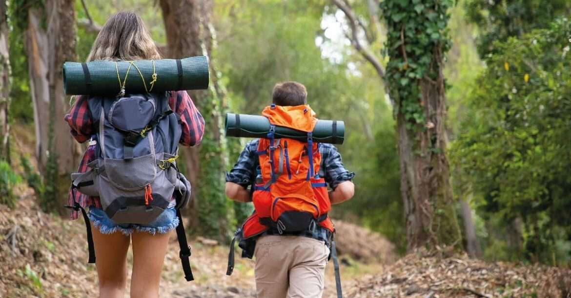 ¿Por qué estudiar el grado medio de TECO?