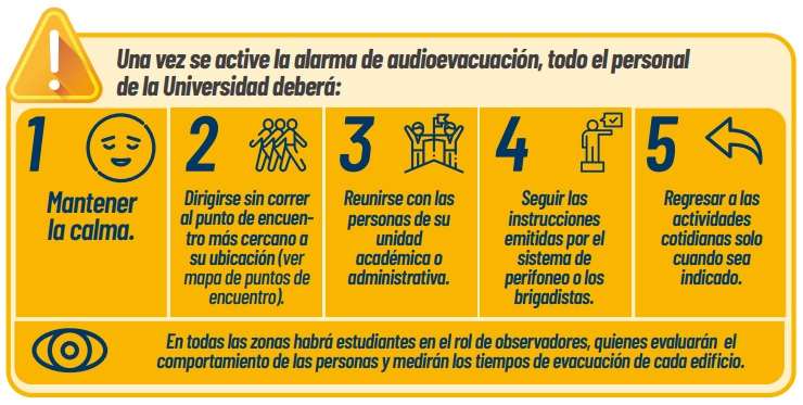 ¿Qué hacer en caso de no entrar a la universidad?