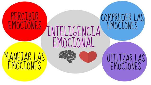¿Qué importancia tiene conocer nuestras habilidades?