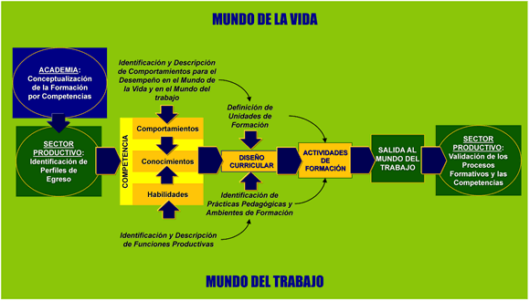 ¿Qué importancia tiene el desarrollo de las competencias en la formación profesional PDF?